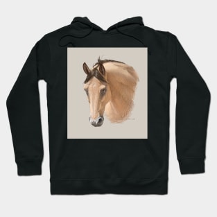 Buckskin Horse Hoodie